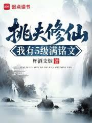 挑夫修仙：我有5级满铭文